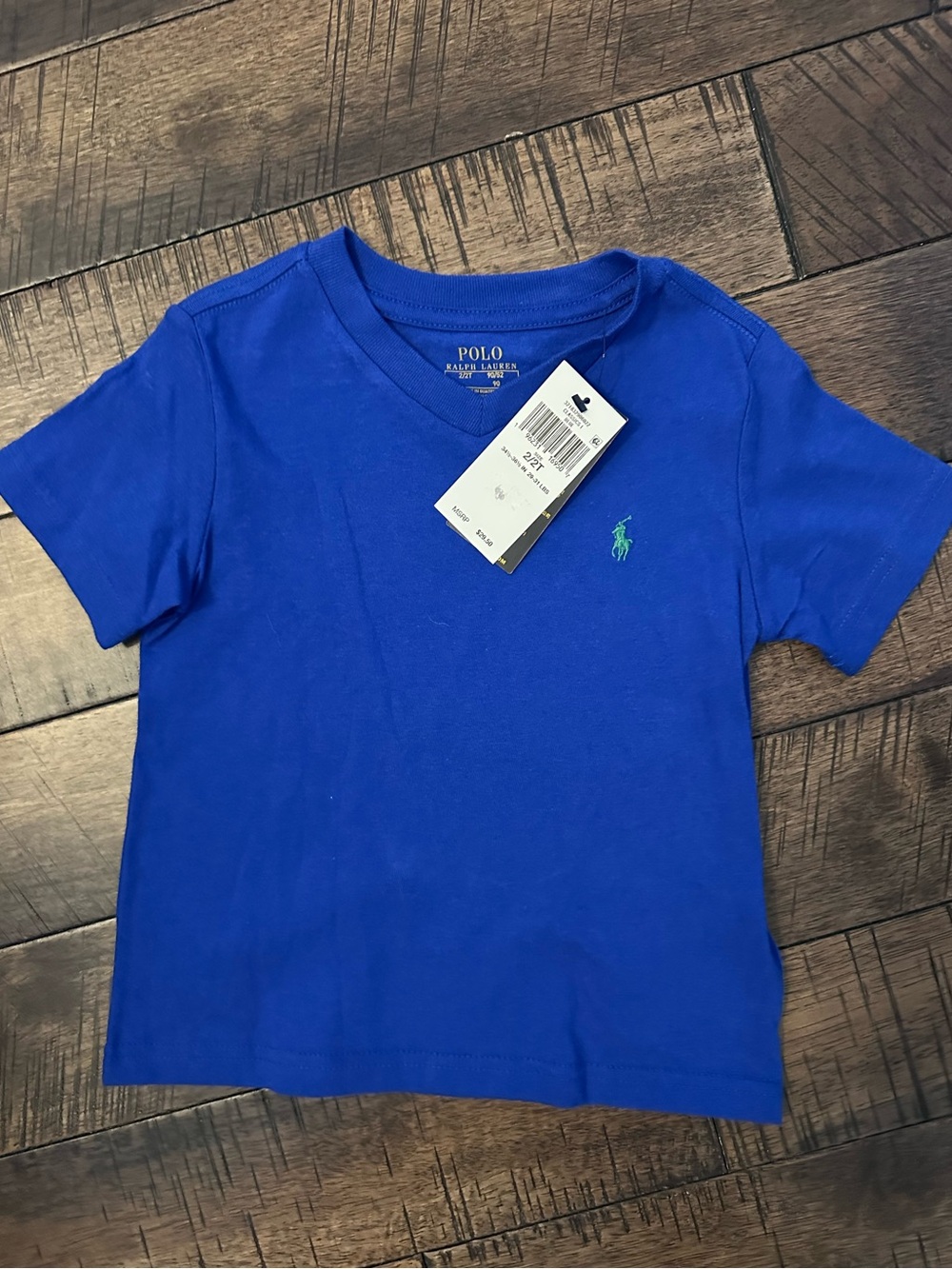 Polo by Ralph Lauren Kids Short Sleeve Tee in Royal Blue with Green Pony